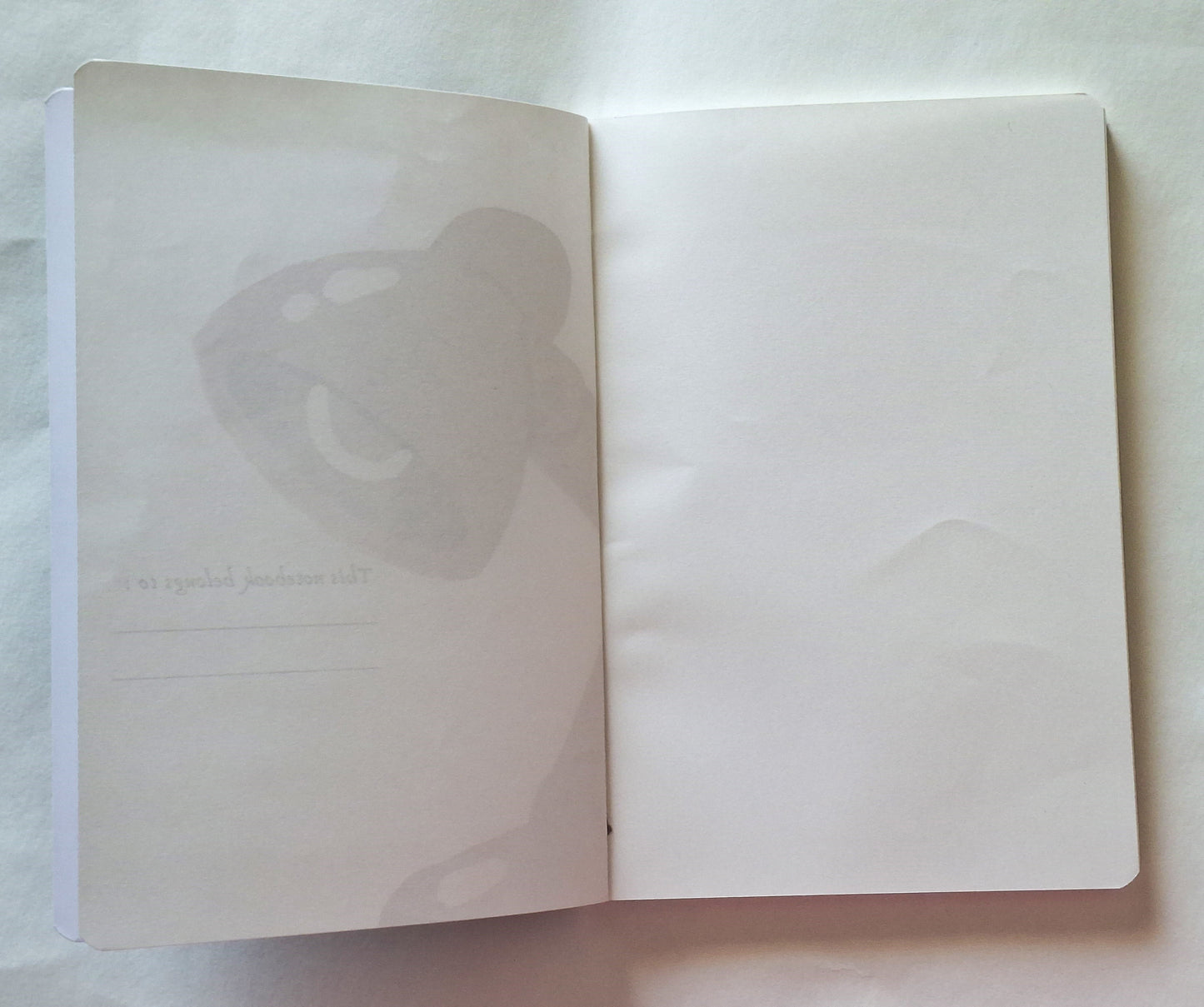 A5 Softbound Diary - Live Your Day Premium Plain Notebook