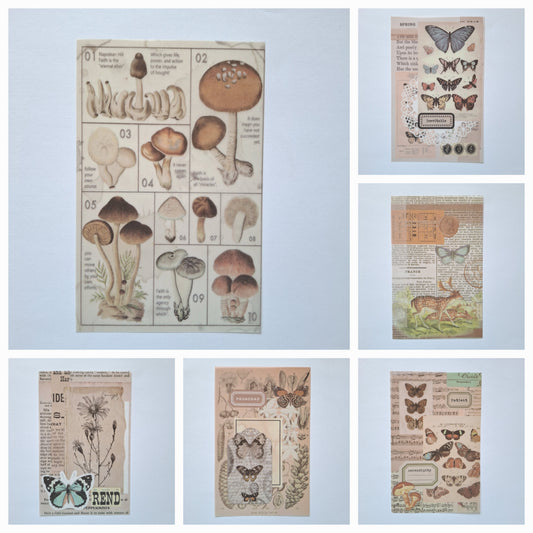 Journal paper( 10 sheets)