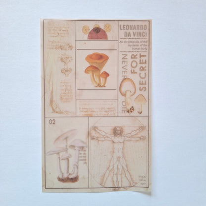Journal Paper