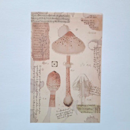 Journal Paper