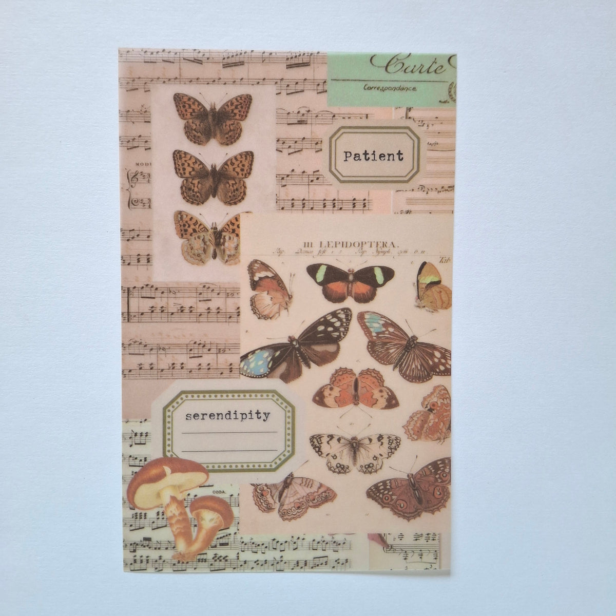 Journal Paper