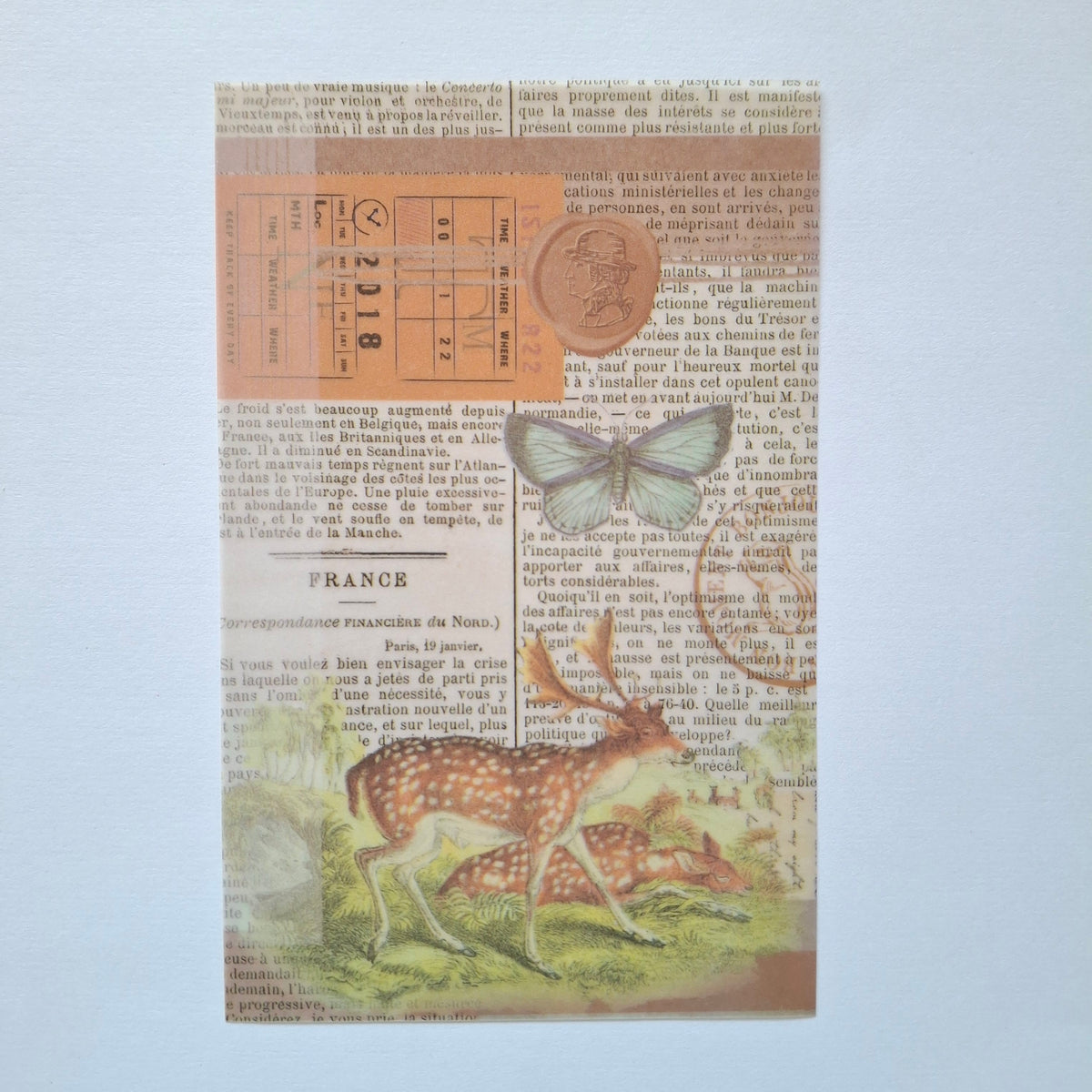 Journal Paper