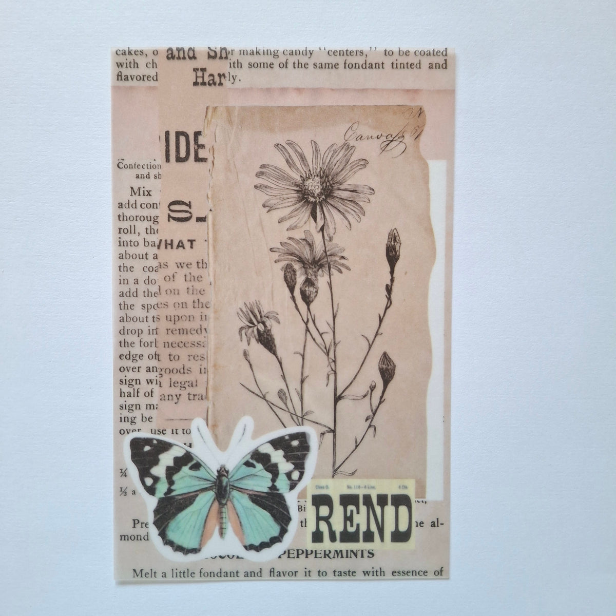 Journal Paper
