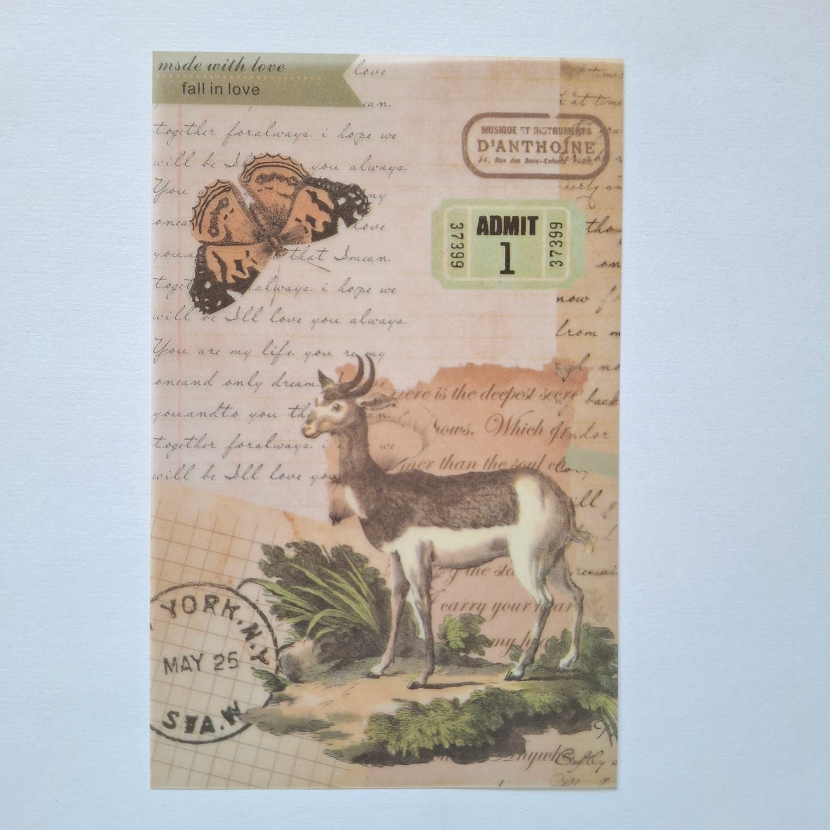 Journal Paper