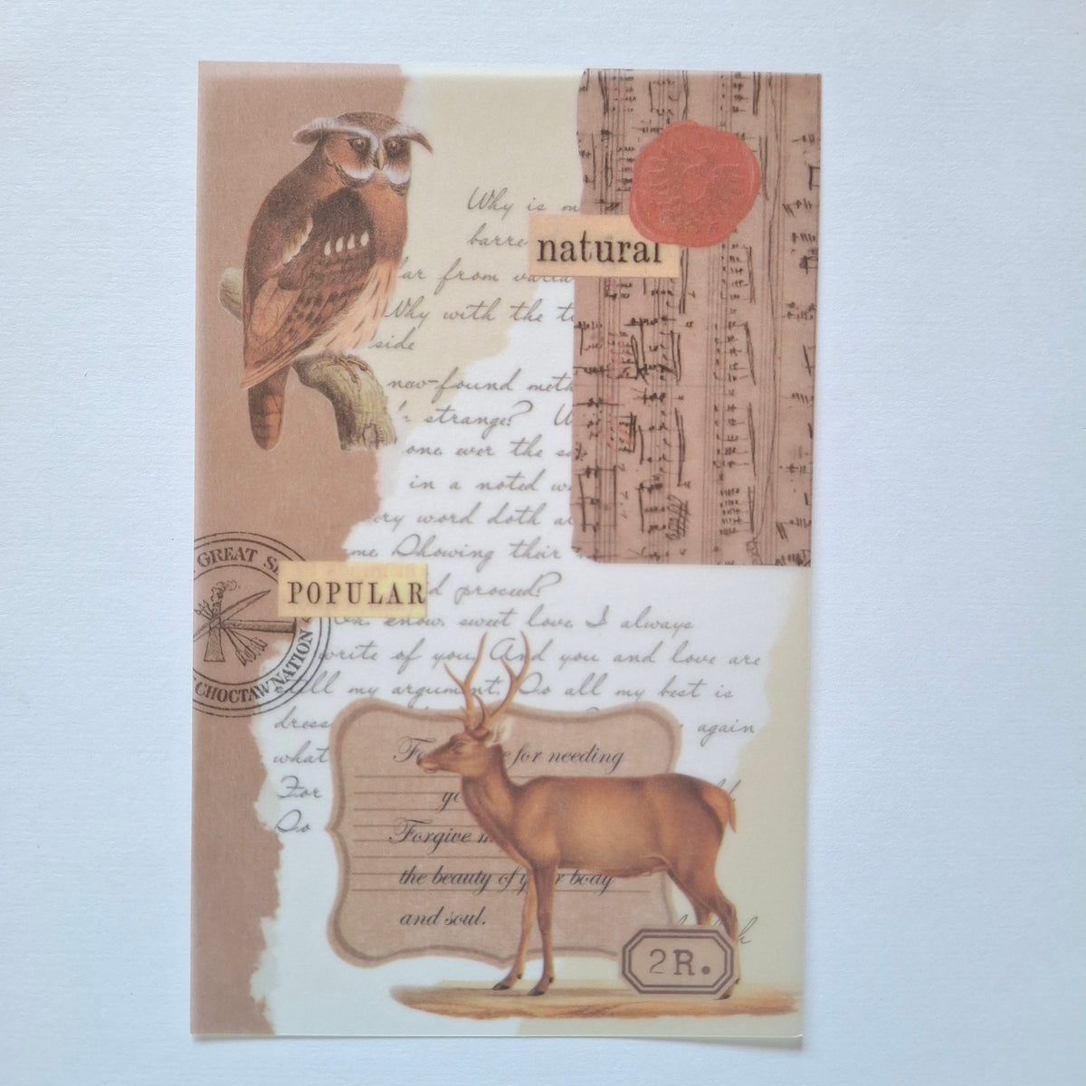 Journal Paper