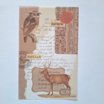 Journal Paper